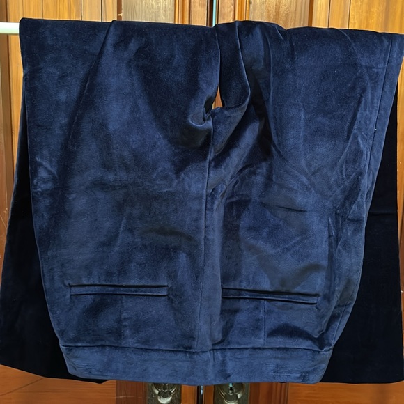 Kate Spade Sz 2 Blue Velvet Cigarette Pants - Picture 4 of 5